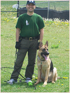 Dog Training in Markham